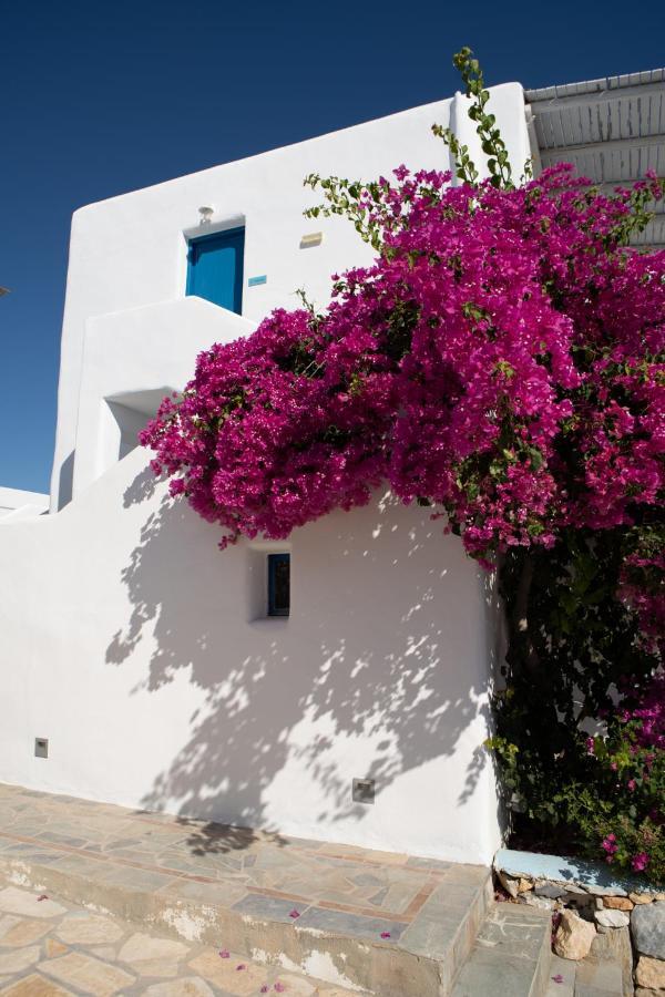 Arpistis Apartments Koufonisia Bagian luar foto